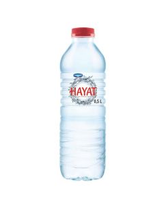 Danone Hayat Natural Mineral Water 500ml x 24