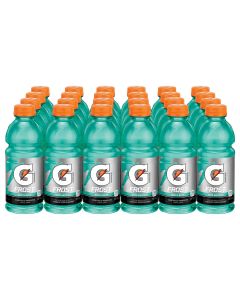 Gatorade Frost Arctic Blitz Sports Drink 591ml x 24 - Best Before 01/12/2024