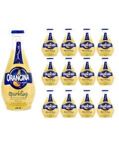 Wholesale Supplier Orangina Sparkling Citrus Dink Glass Bottles 250ml x 12 Best Before 30/06/2025