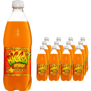 Bigga Orange Flavoured Soft Drink 600ml x 12