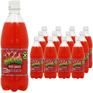 Bigga Fruit Punch 600ml x 12