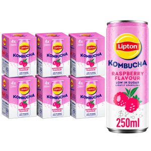 Lipton Kombucha Raspberry Flavour Multipack 250ml Cans , Pack of 24 (6x4pk) - Low in Sugar & Lightly Sparkling