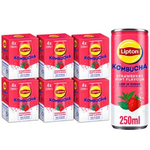 Lipton Kombucha Strawberry Mint Flavour Multipack Cans 250ml , Pack of 24 (6x4pk) - Low in Sugar, Lightly Sparkling Refreshing Drink