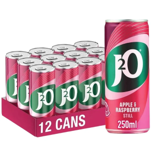J2O Apple & Raspberry Still Soft Drink – Pack of 12 x 250ml – Refreshing Fruity Blend, Shake to Mix – Best Before: July 2026