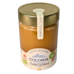 Colonia Polyfloral Cream Honey Raw 420g Natural Bee Honey
