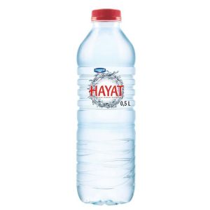 Danone Hayat Natural Mineral Water 500ml x 24