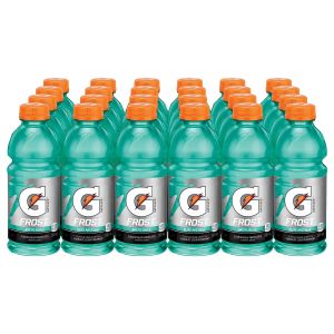 Gatorade Frost Arctic Blitz Sports Drink 591ml x 24 - Best Before 01/12/2024