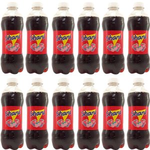 Shani Fruit Flavour Drink 500ml x 12 - Best Before 02/2025