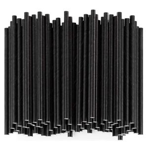 Biozolve Biodegradable Jumbo Paper Straw 200mm X 6mm 250pk - Black