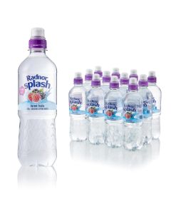 Radnor Splash Forest Fruits Flavoured Still Water Sugar Free 500ml x 12