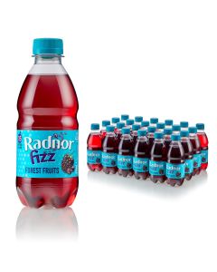 Wholesale Supplier Radnor Fizz Sparkling Forest Fruit 330ml x 24